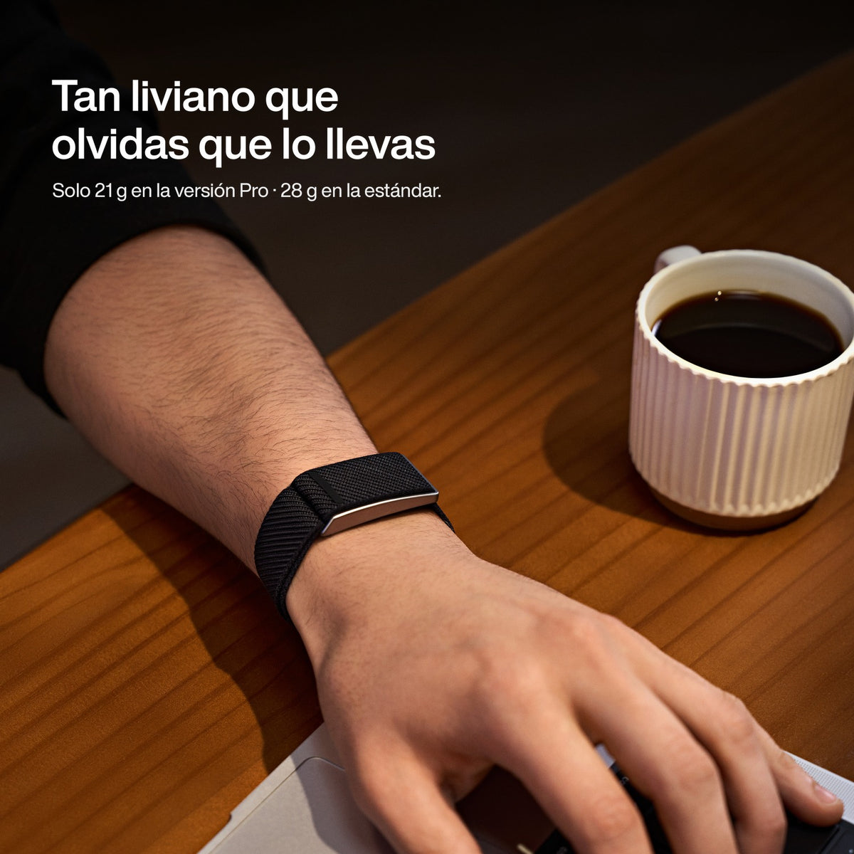 Speediance Strap